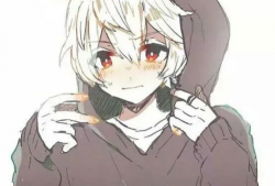 动漫男,探寻校园英雄的成长轨迹