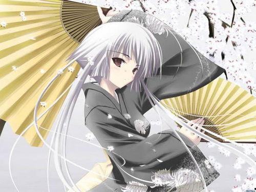 动漫 人物,动漫人物传奇之旅